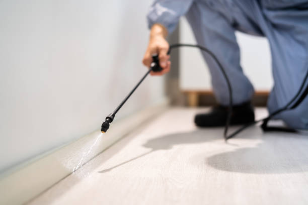 Licensed Fumigation Services service in Haledon, NJ - Nex Pest Control