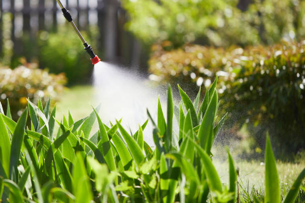 24/7 Emergency Fumigation Services experts in Haledon, NJ