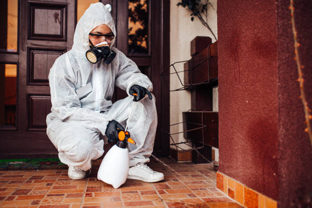 Reliable Fumigation Services contractor in Haledon, NJ by Nex Pest Control