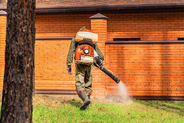 Trusted Mosquito Control service in Haledon, NJ - Nex Pest Control